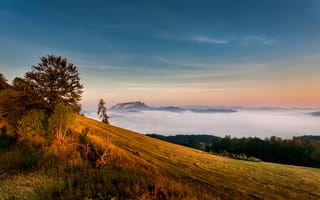 Картинка пейзаж, горы, облака, природа, закат, лес, туман