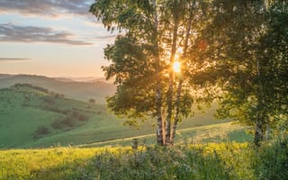 Картинка природа, закат, деревья, пейзаж, зелень, солнце, горы