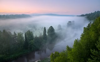 Картинка природа, туман, река, лес, утро, пейзаж, горизонт