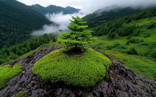 Картинка природа, горы, дерево, пейзаж, зелень, облака, камни