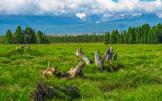 Картинка природа, горы, лес, пейзаж, трава, облака, деревья, мир, отдых, красота