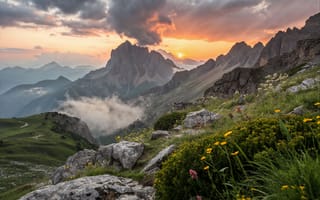 Картинка горы, закат, природа, пейзаж, цветы, облака, камни