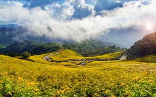 Картинка пейзаж, горы, цветы, небо, облака, природа, дорога