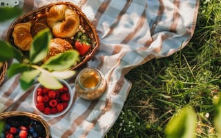 Картинка пикник, еда, фрукты, лето, природа, корзина, зеленый