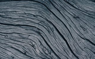 Картинка дерево, текстура, фоновое изображение, природа, абстракция, гладкость, серый