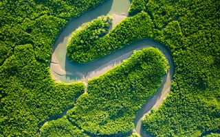 Картинка природа, река, лес, зеленый, пейзаж, водоем, экология