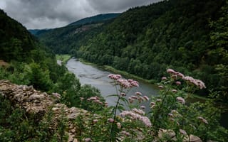 Картинка природа, река, горы, лес, цветы, пейзаж, облака
