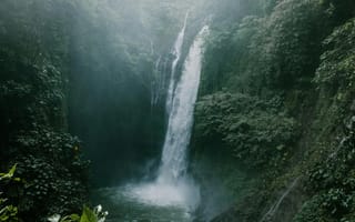 Картинка водопад, природа, лес, вода, пейзаж, туман, зелень