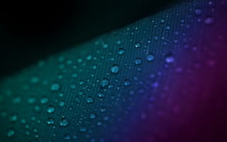 Картинка капли, вода, фон, цвет, макро, текстура, темный