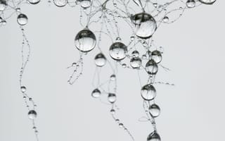 Картинка капли, вода, прозрачный, микросъемка, текстура, естественный, фон