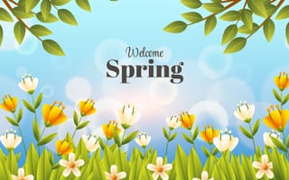 Картинка весна, цветы, природа, зелень, пейзаж, обои, свет