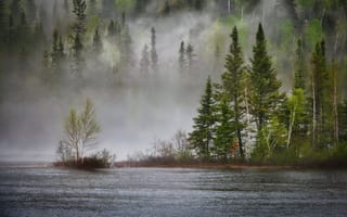 Картинка природа, лес, озеро, туман, деревья, пейзаж, вода, осень, спокойствие, красота