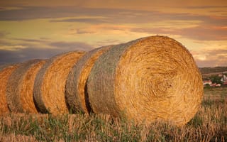 Картинка сено, пейзаж, природа, поле, закат, сельское, круги