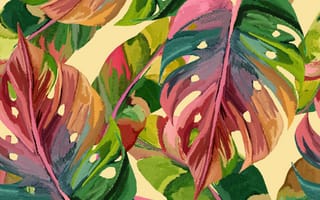 Картинка листья, растения, тропики, декор, обои, природа, цвета