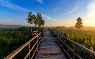 Картинка пейзаж, мост, природа, утро, деревья, небо, туман