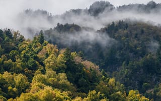 Картинка лес, природа, горы, туман, осень, пейзаж, зелень