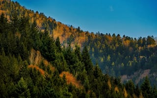 Картинка природа, лес, горы, пейзаж, осень, деревья, небо