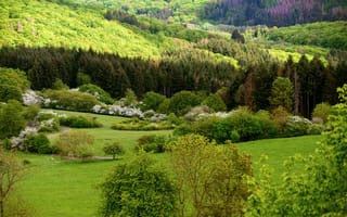 Картинка природа, пейзаж, лес, зелень, горы, цветы, весна