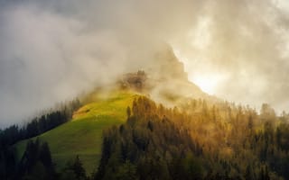 Картинка горы, природа, туман, пейзаж, лес, свет, холмы