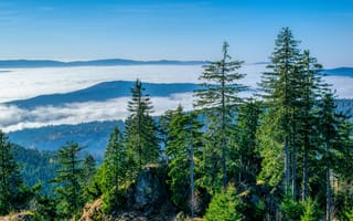 Картинка природа, лес, горы, облака, пейзаж, деревья, небо, вода, высота, осень