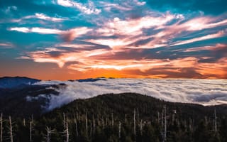 Картинка закат, горы, облака, природа, пейзаж, лес, небо