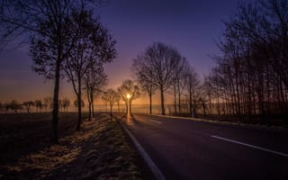 Картинка дорога, закат, природа, деревья, пейзаж, освещение, тишина