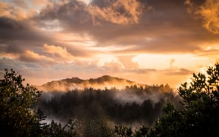 Картинка закат, природа, горы, облака, туман, лес, пейзаж
