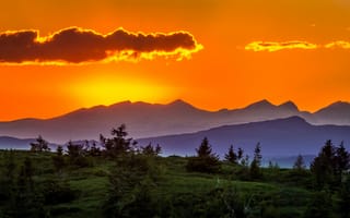 Картинка закат, горы, природа, пейзаж, небо, лес, солнце