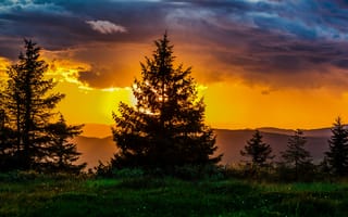 Картинка закат, природа, деревья, горы, пейзаж, небо, освещение