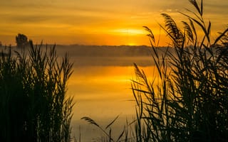 Картинка закат, природа, озеро, травы, мир, пейзаж, спокойствие