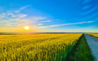 Картинка пейзаж, поле, солнце, небо, природа, дорога, лето