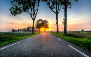 Картинка дорога, закат, природа, деревья, пейзаж, лето, солнце
