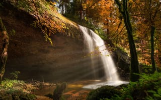 Картинка водопад, осень, природа, лес, пейзаж, мягкий свет, водная гладь