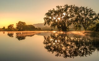 Картинка природа, озеро, рассвет, деревья, отражение, пейзаж, мирный