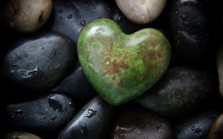 Картинка камни, сердце, природа, декор, гладкие, зеленый, водяные капли