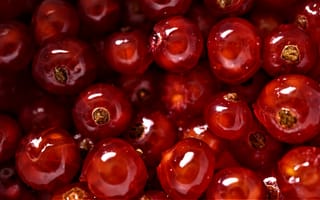 Картинка ягоды, красные, фрукты, натуральные, еда, близкий план, сочный
