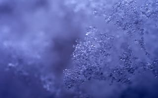 Картинка снег, зима, лед, холод, природа, красота, фотография