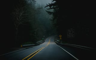 Картинка дорога, лес, туман, природа, пейзаж, мрак, авто