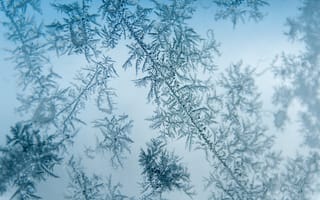 Картинка лед, узоры, зима, холод, природа, красота, фотография