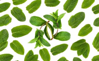 Картинка мята, листья, зелень, фоновое, растение, природа, декор