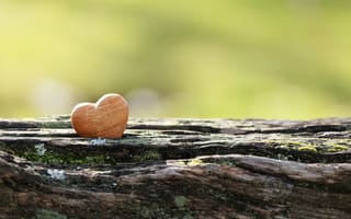 Картинка сердце, дерево, природа, любовь, декор, фотография, обои