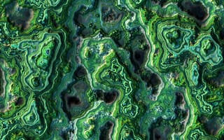Картинка абстракция, зеленый, текстура, природа, узоры, графика, фон