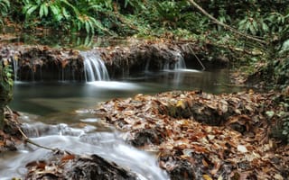 Картинка природа, водопад, река, листья, лес, пейзаж, вода, осень, зелень, спокойствие