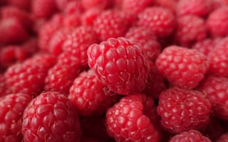 Картинка малина, ягоды, фрукты, еда, натуральный, красный, свежий