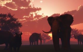 Картинка слоны, закат, природа, животные, пейзаж, деревья, африка