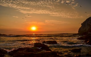 Картинка закат, море, пейзаж, природа, скалы, небо, птицы