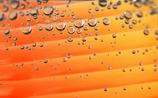 Картинка капли, вода, фон, цвет, абстракция, оранжевый, текстура, микро, дизайн