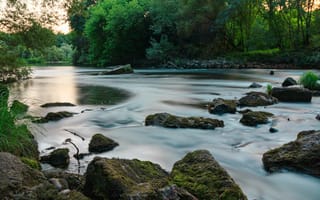 Картинка река, природа, камни, вода, лес, пейзаж, мягкий свет