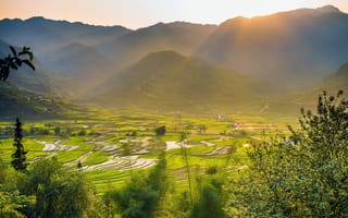 Картинка пейзаж, горы, рисовые поля, природа, закат, зелень, освещение