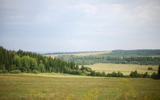 Картинка пейзаж, природа, лес, поле, небо, зелень, горы